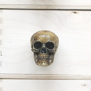 May include: Three skull-shaped drawer pulls, each with a different paint treatment. The top pull has red and white stripes painted on the skull. The middle pull is a plain, unpainted skull. The bottom pull has red splatter paint on the skull.