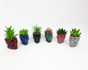 Skull Planter with fake Succulent, Skulls, Skull Pot