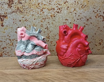 Anatomical Heart Pot, Heart planter