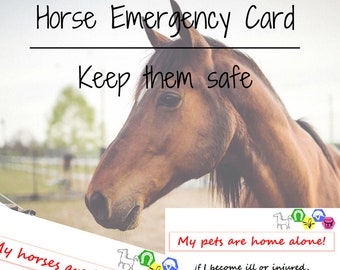 Horse Emergency Card, Horse Home Alone, Pet Care Kit, Pet Emergency Kit