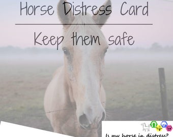 Horse in Distress Card, Horse Distress Card, Pet Care Kit, Pet Emergency Kit, Horse Show, Horse Competition, Horse Events