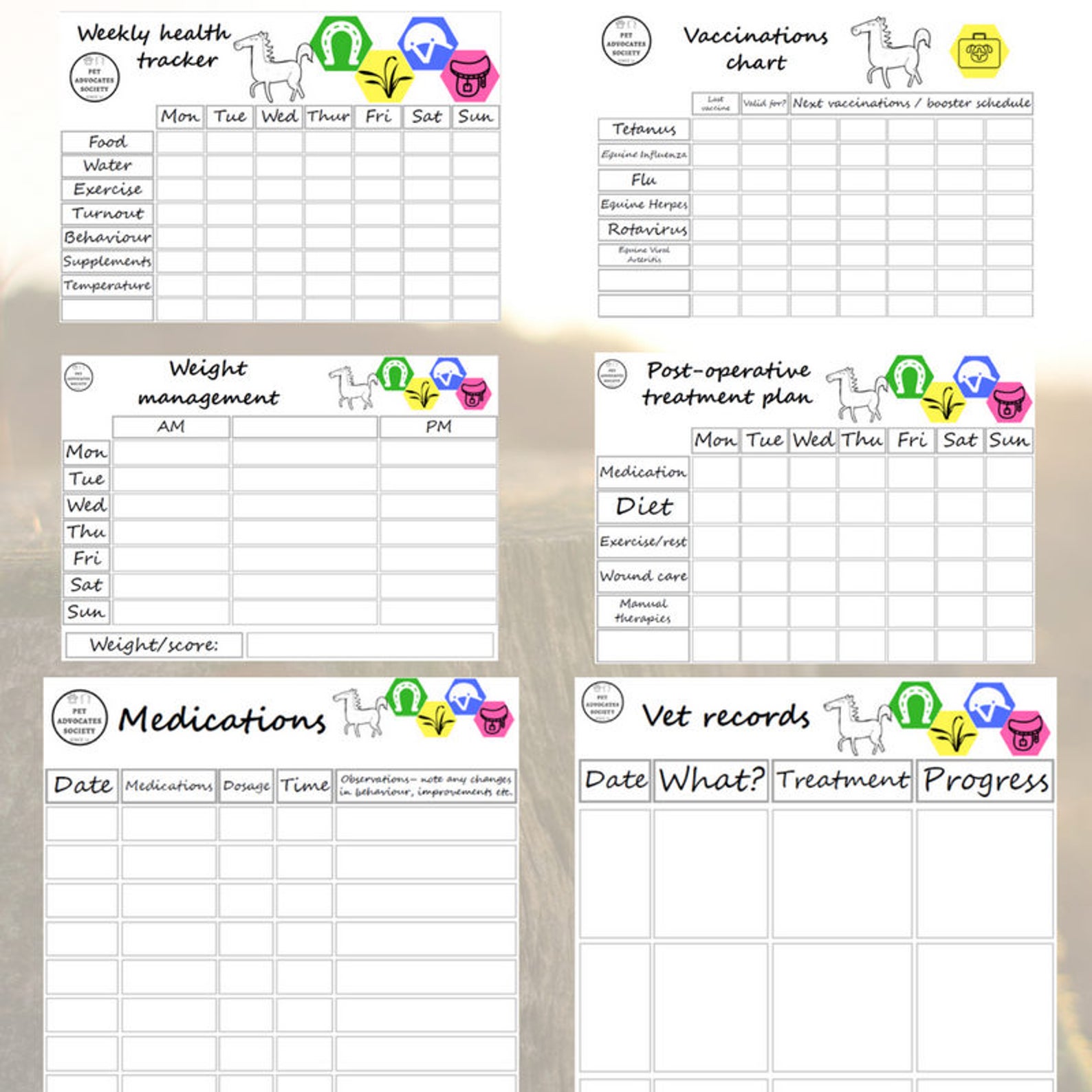 Ultimate Horse Binder Pet Care Kit Horse Planner Health - Etsy