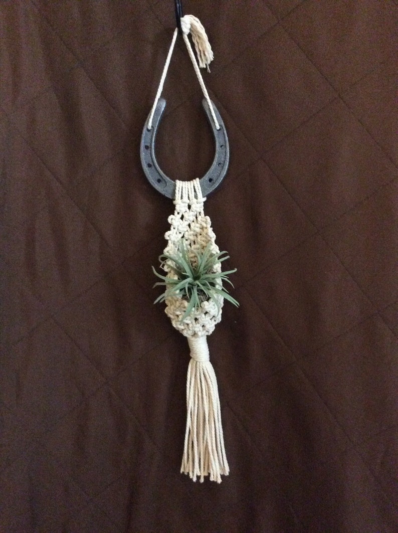 Horseshoe Macrame Air Plant Pod horseshoe country Etsy