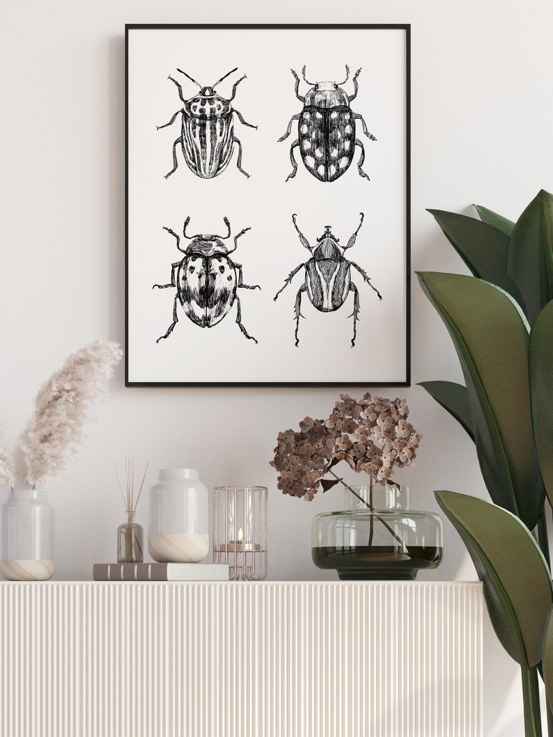 Vintage Beetle Illustration Digital Art Printable, Insect Sketch ...