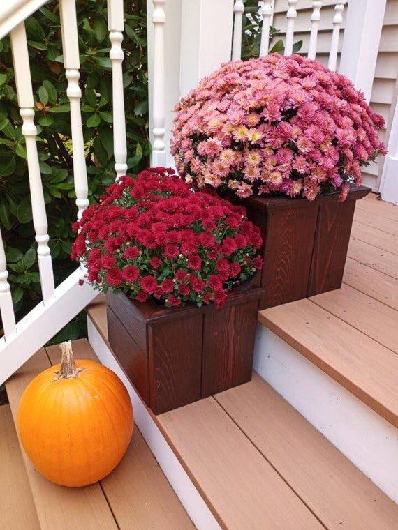 Orange and Pink Flowers in Box with Pumpkin Orange and Pink Flowers in Box with Pumpkin