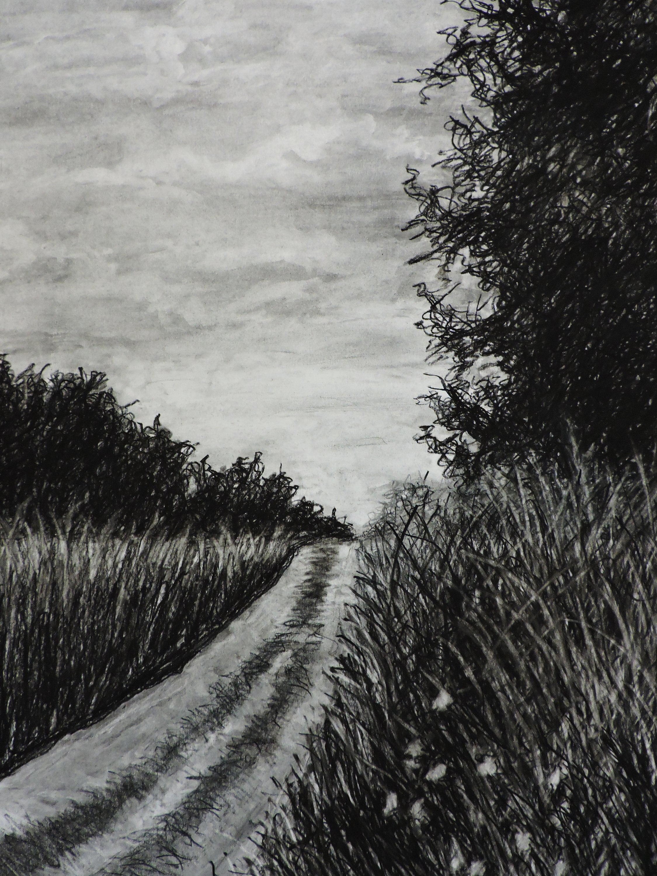 Original Charcoal Spring Landscape Drawing - Etsy