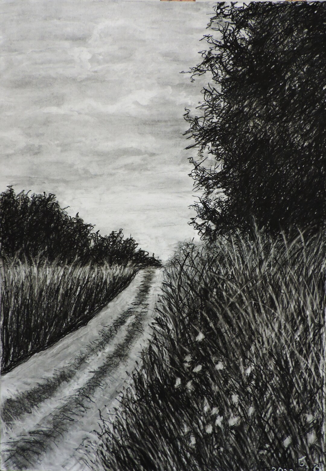 Original Charcoal Spring Landscape Drawing - Etsy