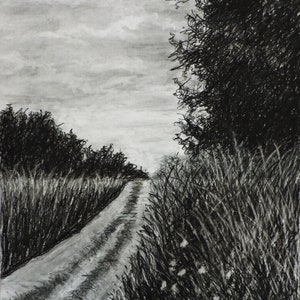 Original charcoal spring landscape drawing
