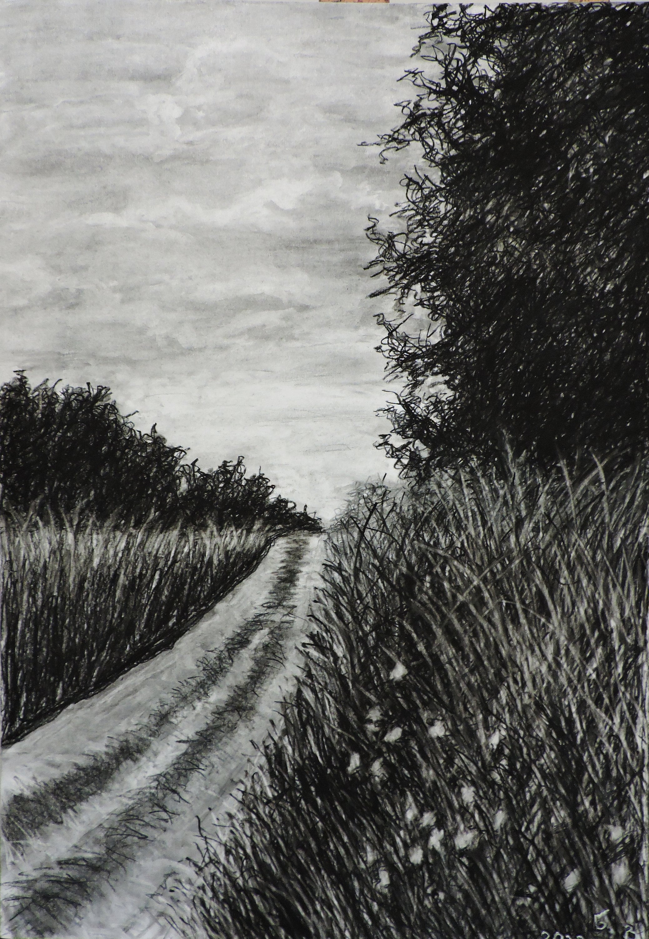 Original Charcoal Spring Landscape Drawing - Etsy