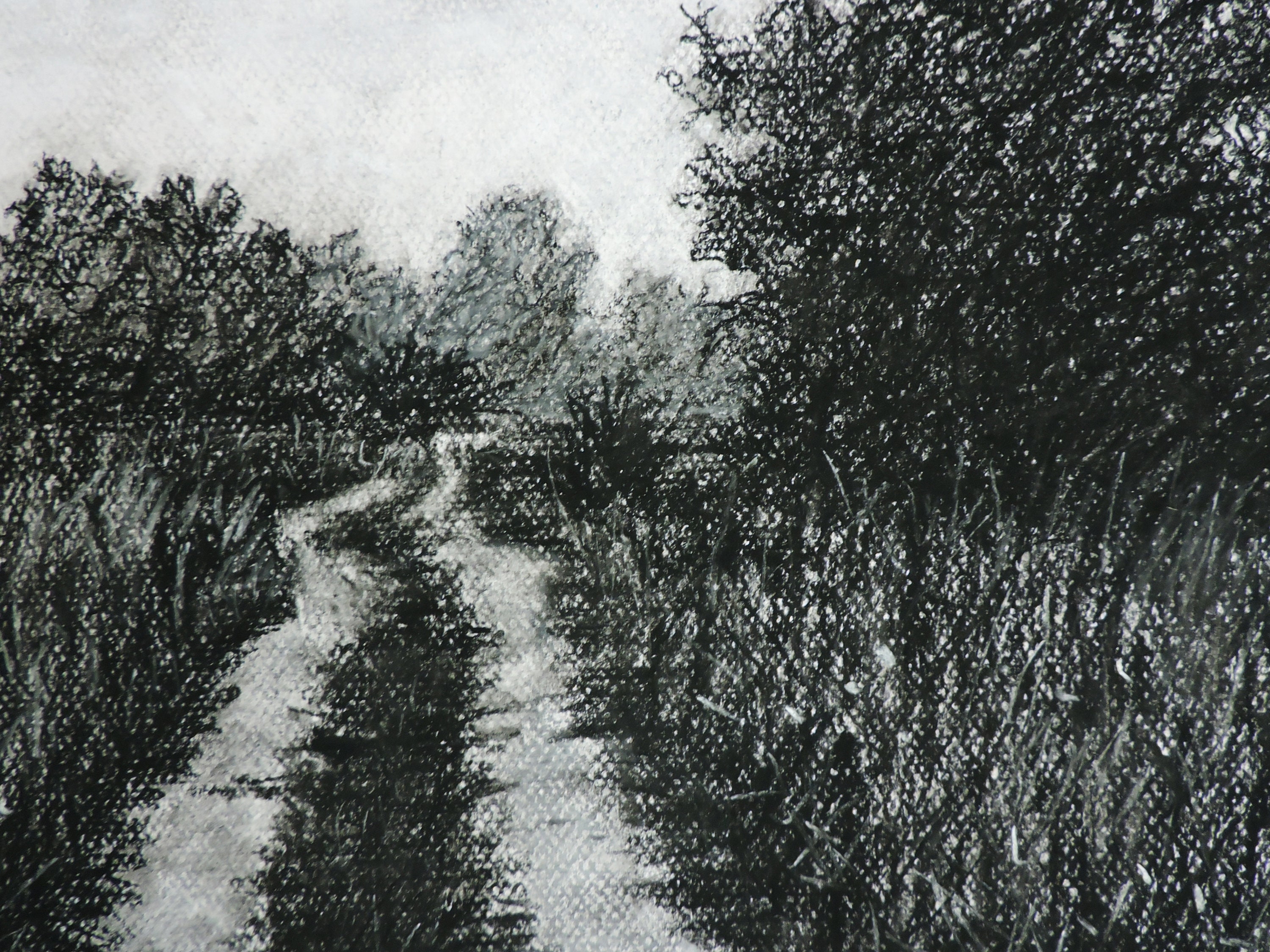Buy Charcoal Landscape Drawing Online in India - Etsy