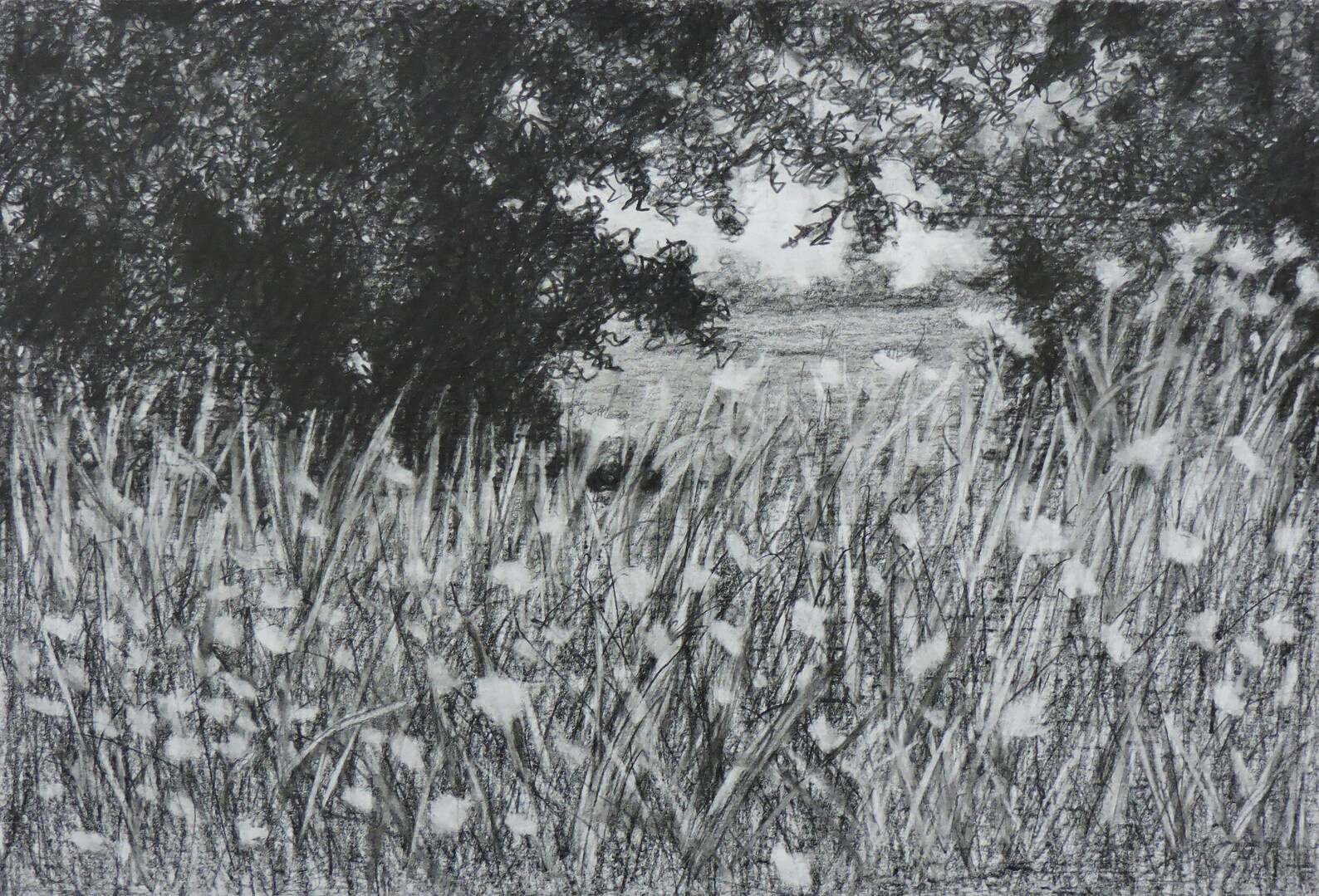 Art Pencil Landscape Drawing. Pencil Drawing Etsy