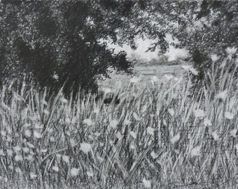 Pencil Landscape Drawing: Small Art on Paper (40x30cm)