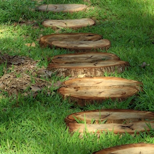 May include: A pathway of wooden stepping stones, cut from tree trunks, laid across a bed of vibrant green grass. The circular stones vary in size and are spaced evenly, creating a natural garden path.