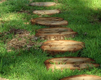 5) Rustic Live Edge Oak Wood Slices: Garden Stepping Stones, Plant Stands