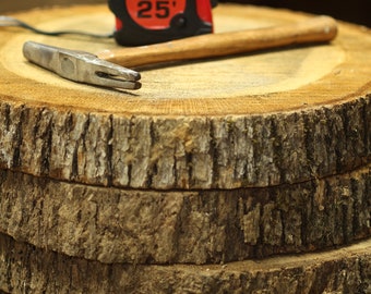 Rustic Live Edge Oak Wood Slice: Plant Stand or Centerpiece
