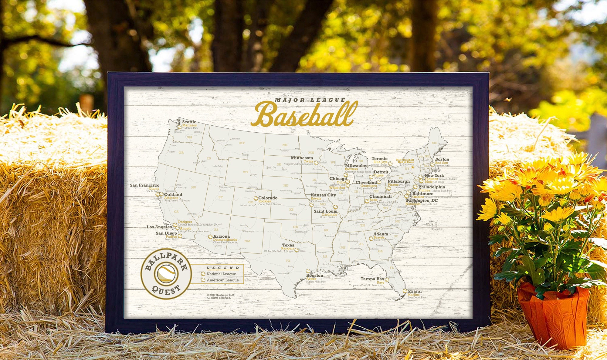 Baseball Team Gift - MLB Bucket List Tracker - Light Wood
