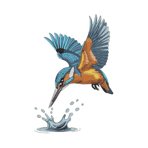 Pode incluir: Ilustração detalhada de um guarda-rios mergulhando na água. A ave tem asas azuis, corpo laranja e um bico longo. Gotas de água e um respingo são visíveis abaixo da ave, em um fundo branco.