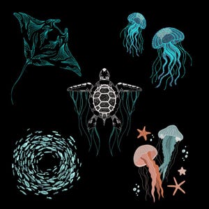 Op de afbeelding: Illustratie van zeedieren op een zwarte achtergrond. Toont een manta rog, kwallen, een zeeschildpad, een school vissen en zeesterren, in tinten blauw, wit en koraal.
