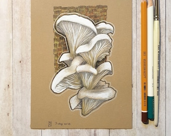 Original drawing - White Oyster Mushrooms