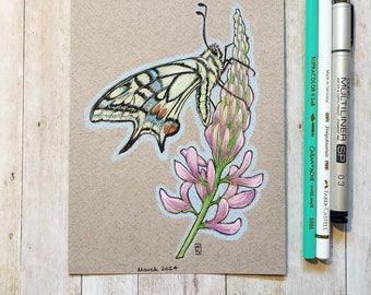 Original drawing - Swallowtail Butterfly