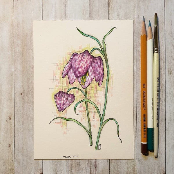 Original drawing - Snakes head fritillary flower