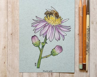 Original drawing - Honey Bee on a Purple flower