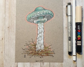 Original drawing - Verdigris Agaric Mushroom