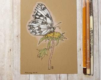 Original drawing - White and Black Butterfly