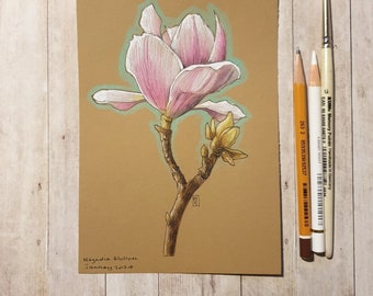 Original Zeichnung - Pink Magnolia Blossom