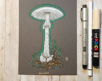 Original drawing - Destroying Angel Mushroom