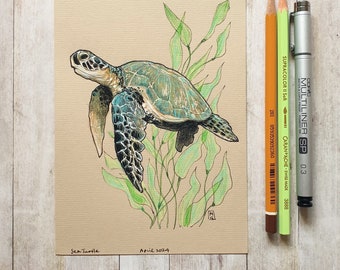 Original Zeichnung - Meeresschildkröte
