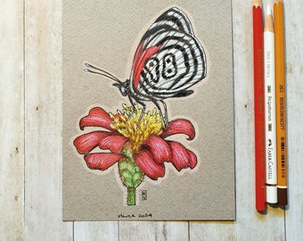 Original drawing - Kolyma Eighty-Eight Butterfly