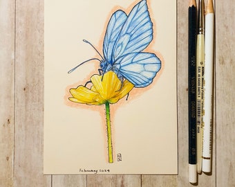 Original drawing - Blue Butterfly