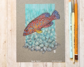Original drawing - Coral Grouper Fish
