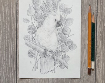 Dessin original - Oiseau cacatoès