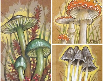 Original mixed media drawings - Mushrooms
