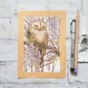 Sleepy owl in wisteria branches original artwork, small drawing, owl wall art