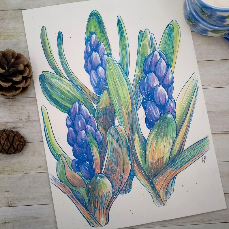 Original watercolour painting  Blue Hyacinths image 1