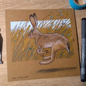 A drawing of a running hare with a field full of cornflowers