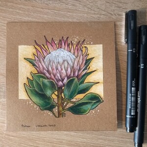 Original drawing mixed media  flowers Protea