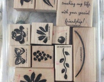 Stampin Up Watercolor Garden