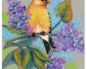 Gold Finch on Lilacs ~ Soft Pastel