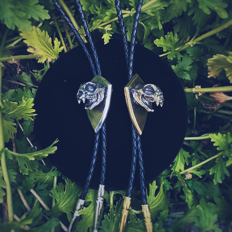 May include: Two black bolo ties with silver skull-shaped pendants. The pendants are detailed with a textured finish and have a dark patina.