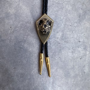 May include: A black bolo tie with a gold-toned pendant featuring a detailed animal skull. The pendant is shaped like a shield.