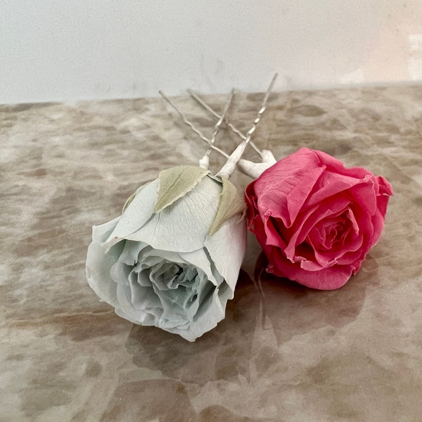 Preserved Rose Hair Picks Wedding Flower Hairpin, Similar to Dried Flower Pins, Ivory Wedding Hair Piece with option of Hygranea or Fern