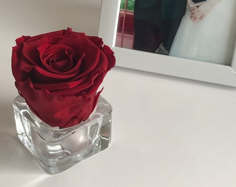 Preserved Rose in a Glass Vase, Forever Rose Gift, Immortal Rose Table Decor, Wedding Decor  Valentine’s Day Rose