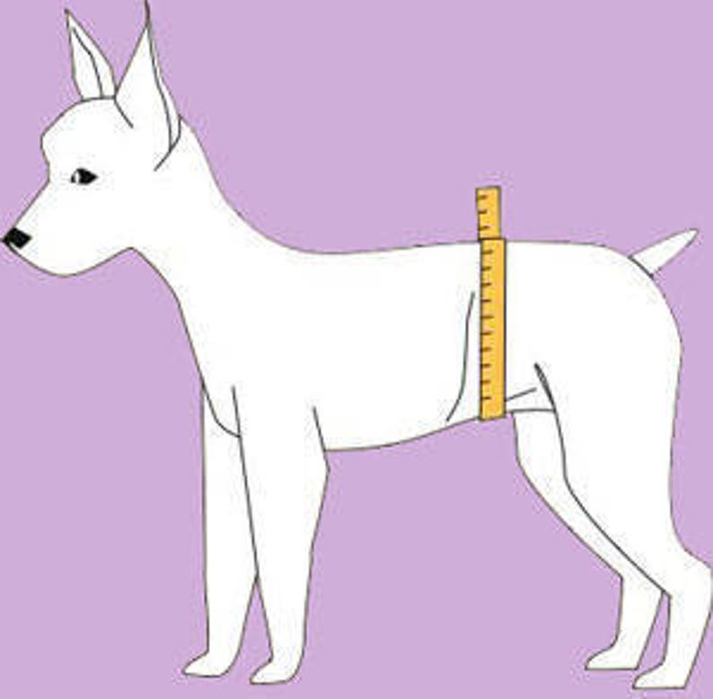 Male Dog Diaper Dog Belly Band Stop Marking House Training Incontinence