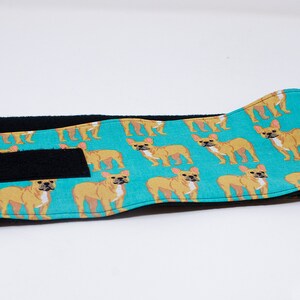 Male Dog Diaper | Dog Belly Band | Stop Marking | House Training | Incontinence band