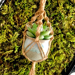 May include: A small succulent plant in a white ceramic pot is hanging from a macrame plant hanger made of natural twine. The hanger is attached to a metal hook and has a beaded design. The plant is hanging against a backdrop of green moss.