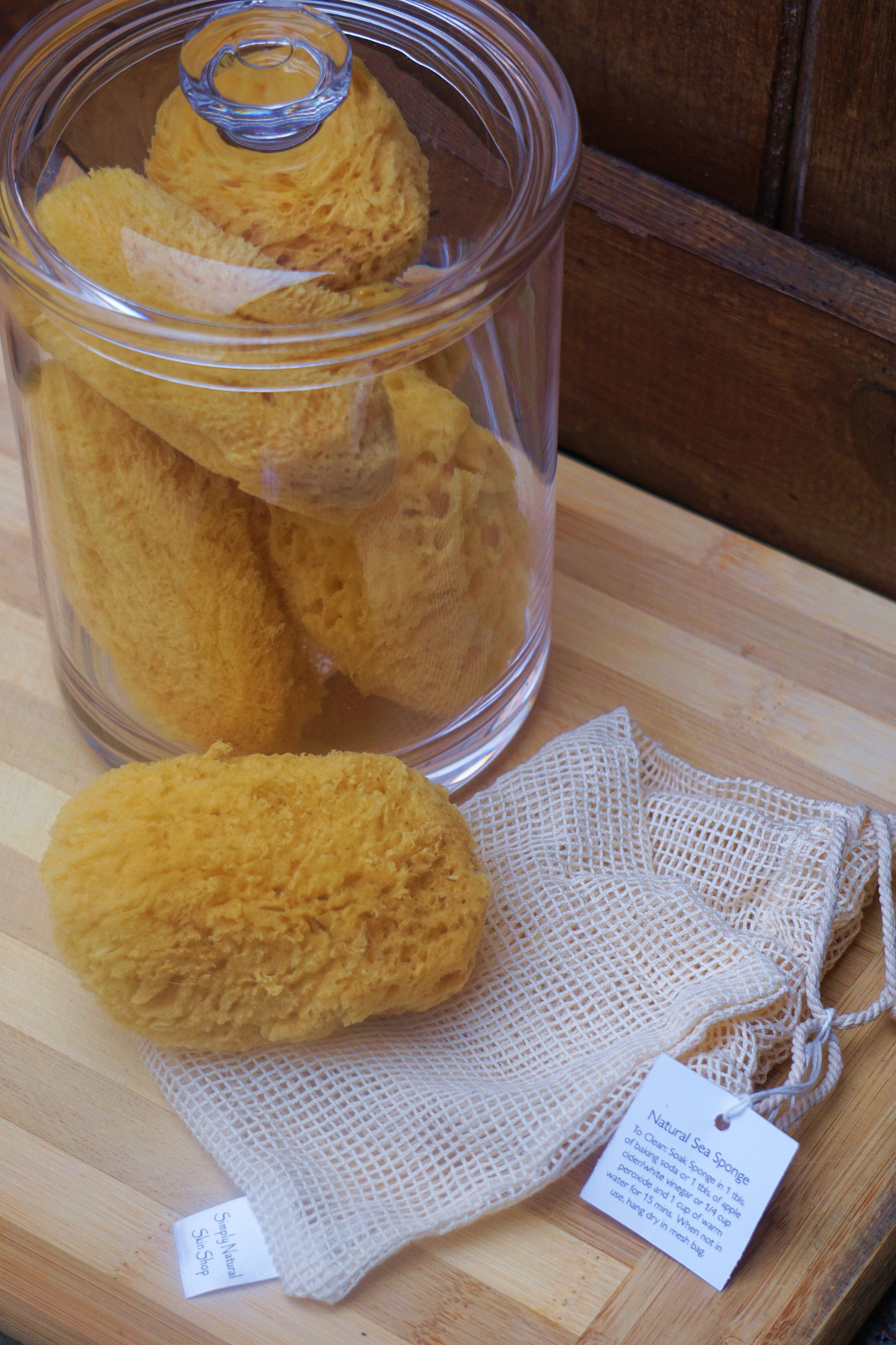 Natural Dead Sea Sponge